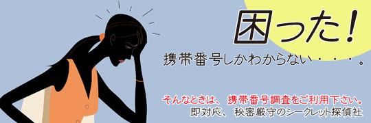 �@:�g�єԍ������F